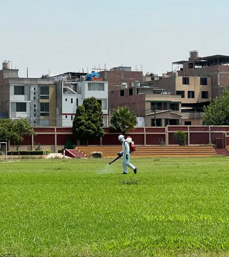 Servicio de fumigación y saneamiento ambiental en Lima